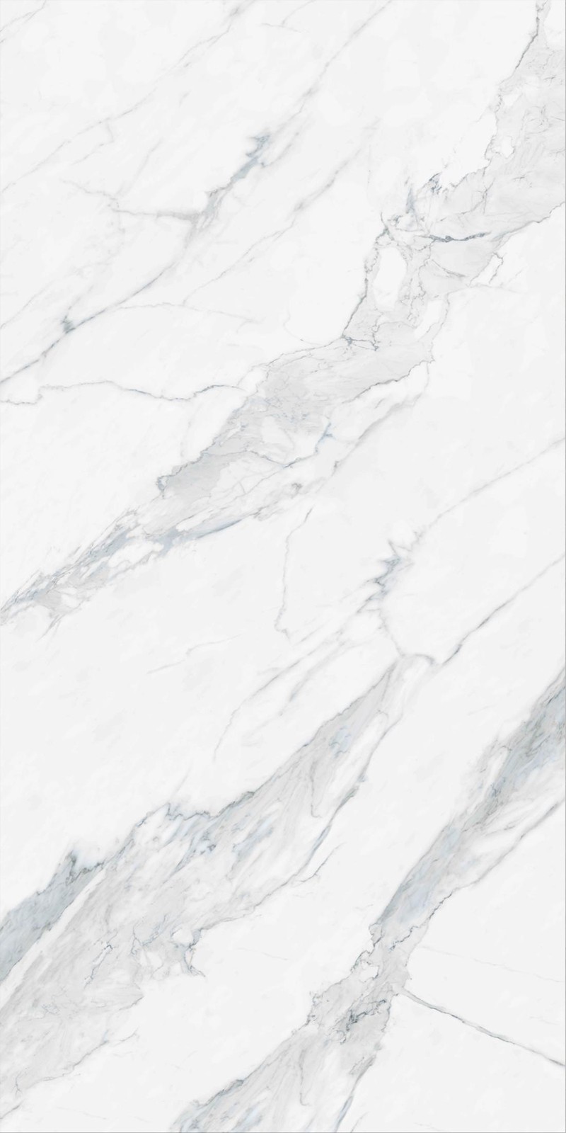 Moonlit White