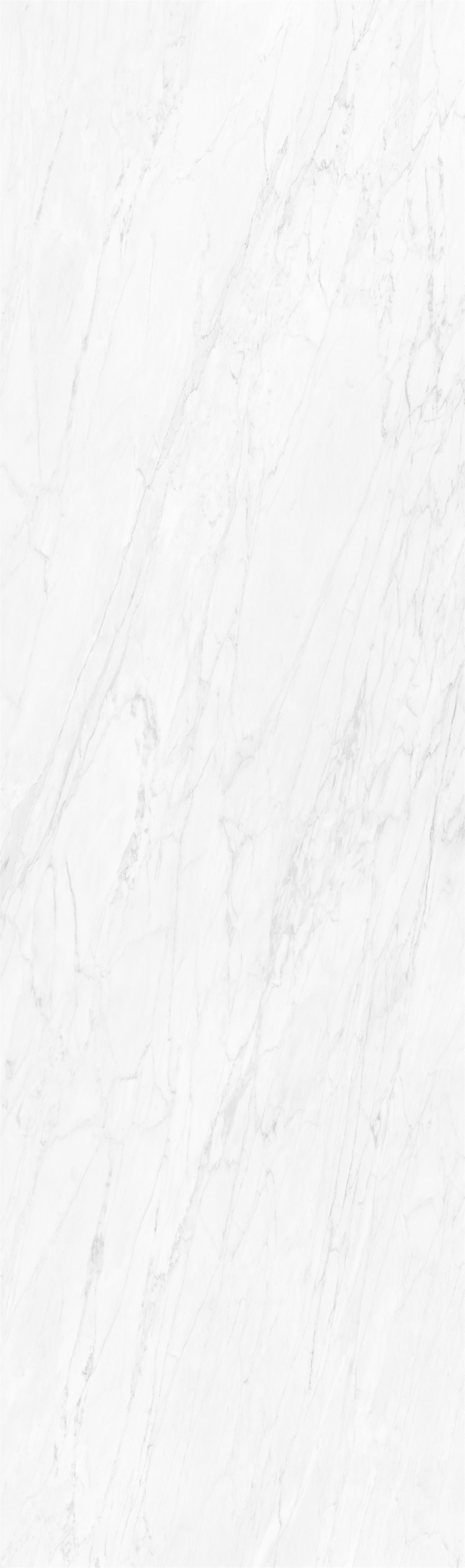 Ivory White
