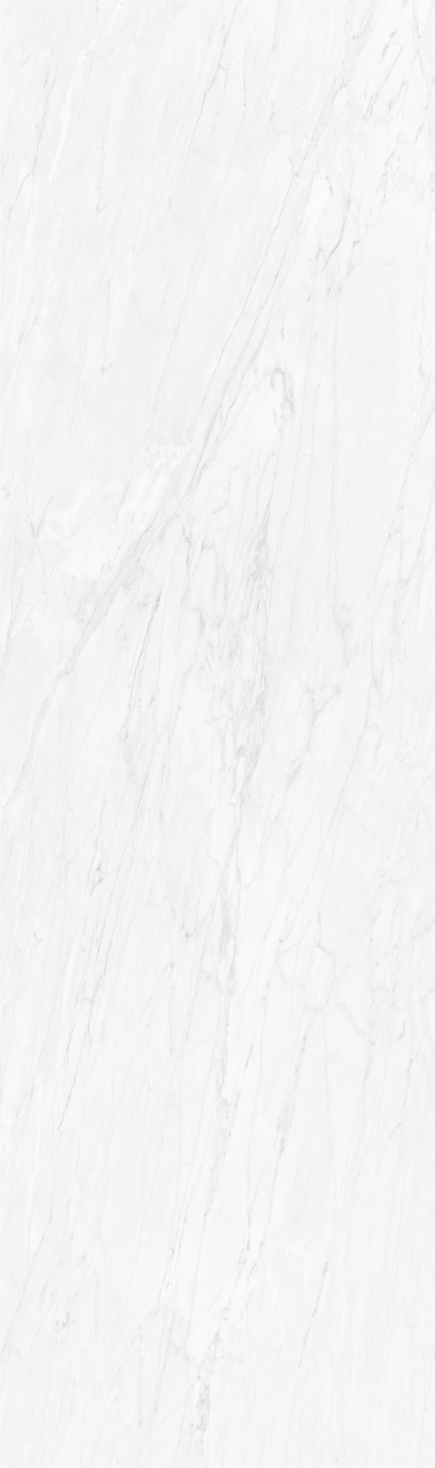 Ivory White