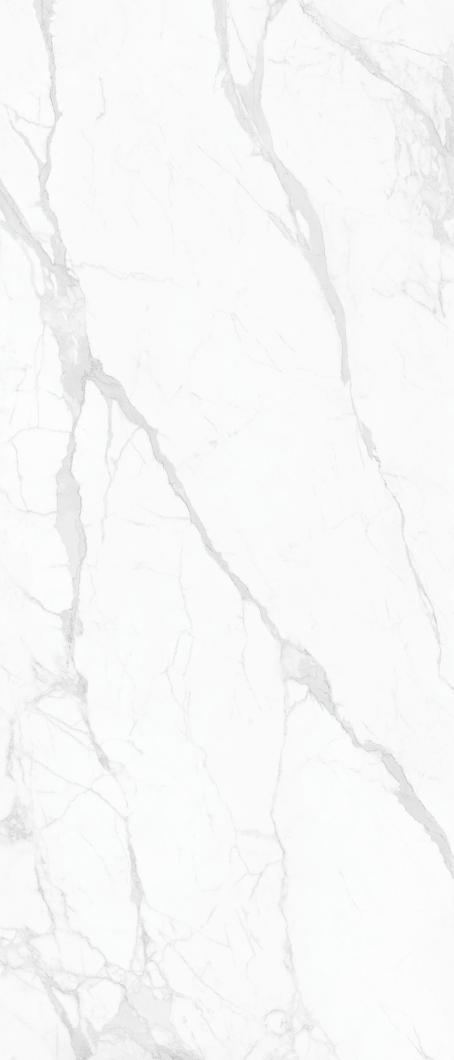 Evening Snow