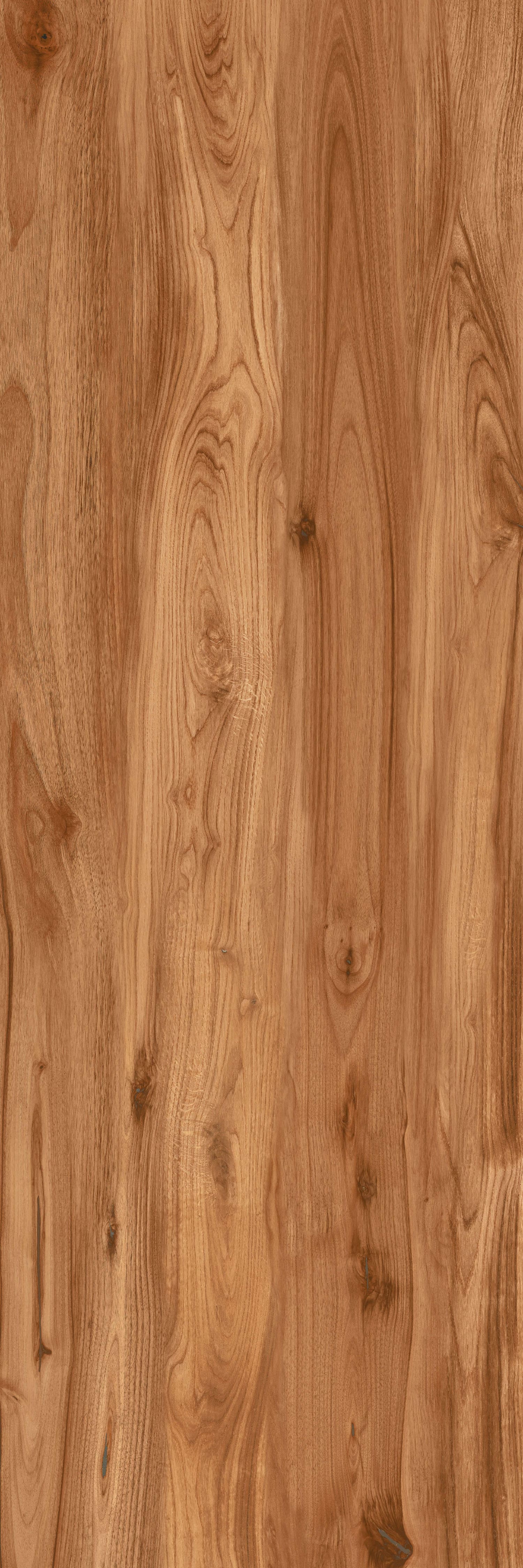 Camphor Wood