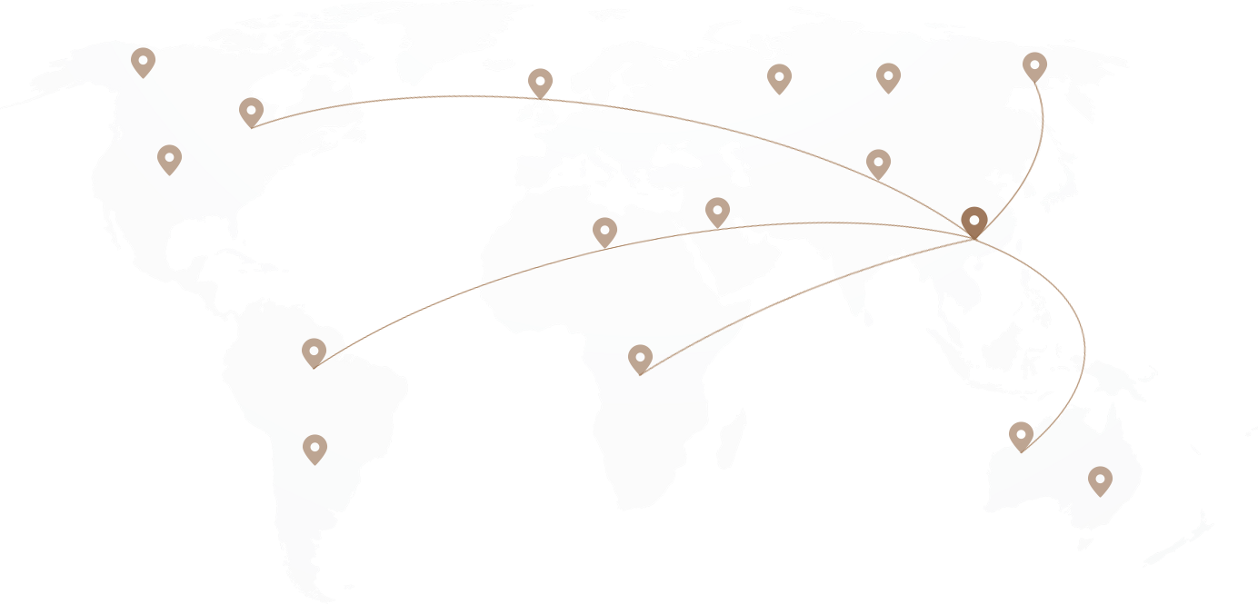 Shunhui global presence across 40+ countries